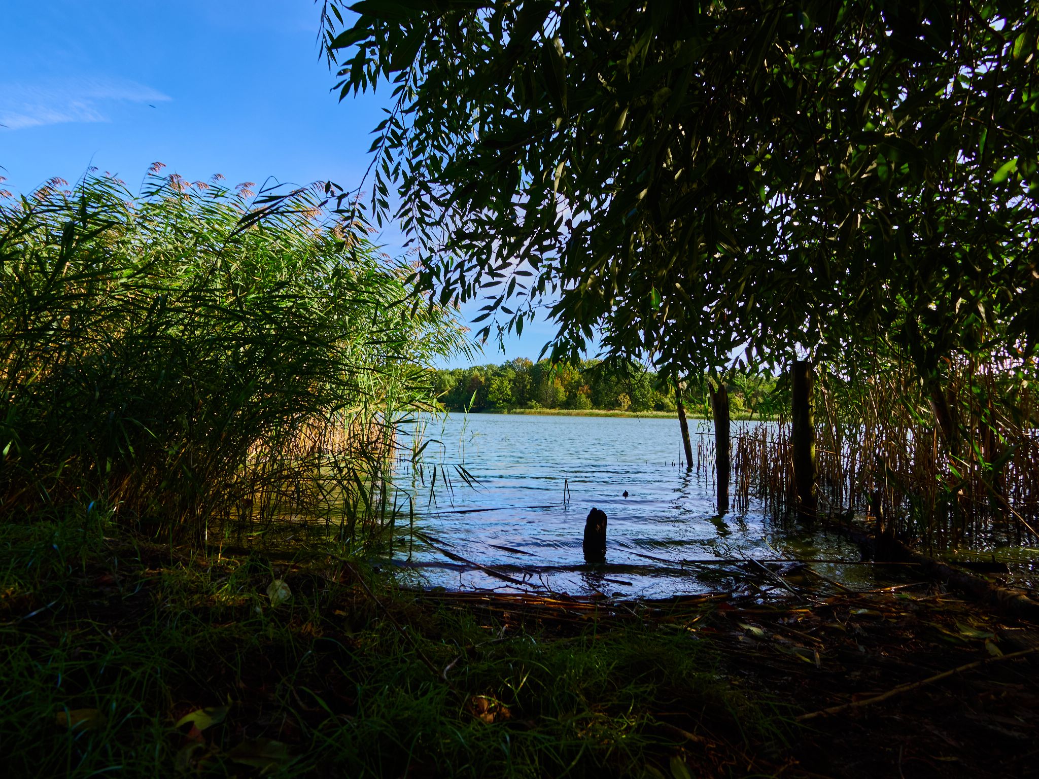 Landschaft 2024  1779 Usedom